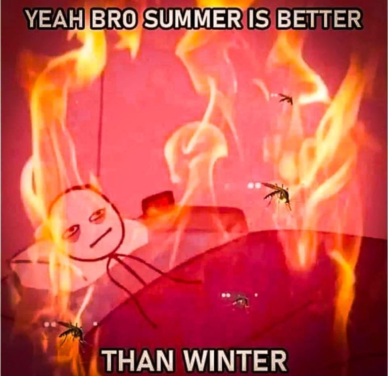 Summer is better